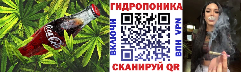 Canna-Cookies конопля  Купить  Железногорск-Илимский 