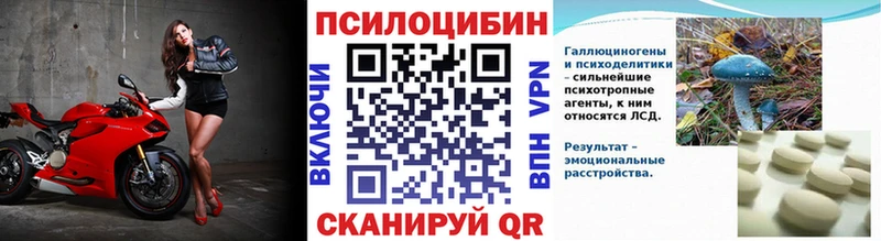 Купить закладки  Железногорск-Илимский  Псилоцибиновые грибы мицелий 